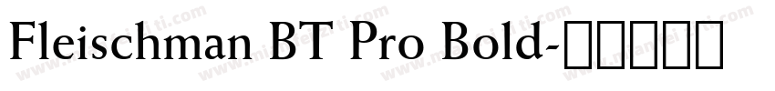 Fleischman BT Pro Bold字体转换